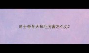 哈士奇冬天掉毛厉害怎么办
