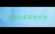 拉布拉多宠物犬舍