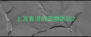 上海靠谱的宠物医院