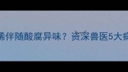 拉布拉多犬频繁拉稀伴随酸腐异味资深兽医5大病因及科学应对方案