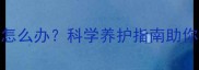 2个月大幼犬总睡觉怎么办科学养护指南助你解决睡眠异常问题