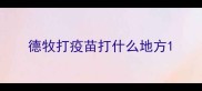 德牧打疫苗打什么地方