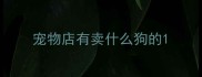 宠物店有卖什么狗的