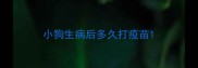 小狗生病后多久打疫苗