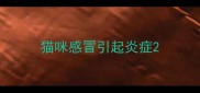 猫咪感冒引起炎症
