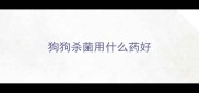 狗狗杀菌用什么药好