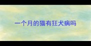 一个月的猫有狂犬病吗