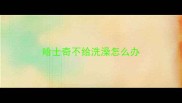 哈士奇不给洗澡怎么办
