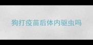 狗打疫苗后体内驱虫吗
