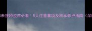 猫咪未接种疫苗必看5大注意事项及科学养护指南深度
