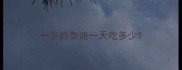 一岁的泰迪一天吃多少