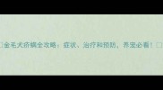 金毛犬疥螨全攻略症状治疗和预防养宠必看