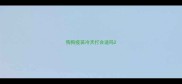 狗狗疫苗冷天打合适吗