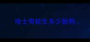哈士奇能生多少胎狗