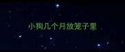 小狗几个月放笼子里