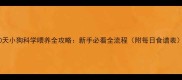 20天小狗科学喂养全攻略新手必看全流程附每日食谱表