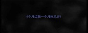 4个月边牧一个月吃几斤