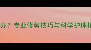 拉布拉多幼犬毛发过长怎么办专业修剪技巧与科学护理指南附成长周期对照表