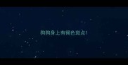 狗狗身上有褐色斑点