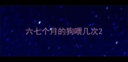 六七个月的狗喂几次