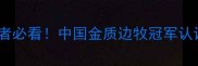 边牧爱好者必看中国金质边牧冠军认证全流程