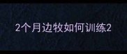 2个月边牧如何训练