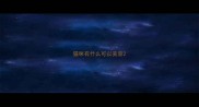 猫咪有什么可以美容