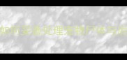 宠物殡葬全流程指南如何妥善处理宠物尸体与后事附专业机构推荐