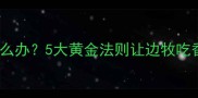 边境牧羊犬幼犬挑食怎么办5大黄金法则让边牧吃香喝辣养成健康小钢炮