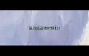 猫的疫苗啥时候打