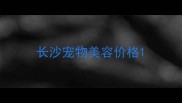 长沙宠物美容价格