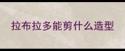 拉布拉多能剪什么造型