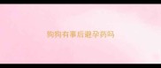 狗狗有事后避孕药吗