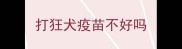 打狂犬疫苗不好吗
