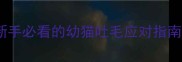 三个月大的猫吐毛怎么办新手必看的幼猫吐毛应对指南附症状与专业护理方案