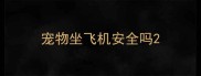 宠物坐飞机安全吗