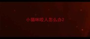 小猫咪咬人怎么办