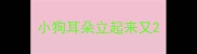 小狗耳朵立起来又