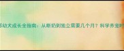 萨摩耶幼犬成长全指南从断奶到独立需要几个月科学养宠时间表