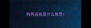 狗狗返祖是什么意思