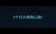 2个月大狗狗心跳