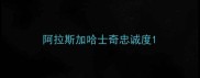 阿拉斯加哈士奇忠诚度