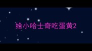 给小哈士奇吃蛋黄