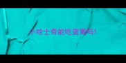 小哈士奇能吃蛋黄吗