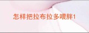 怎样把拉布拉多喂胖