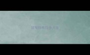冠军拉布拉多犬舍