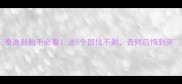 泰迪剃胎毛必看这5个部位不剃否则后悔到哭