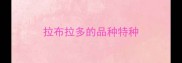 拉布拉多的品种特种