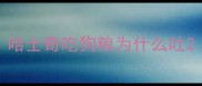 哈士奇吃狗粮为什么吐