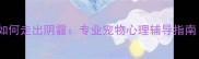 狗狗离世后主人如何走出阴霾专业宠物心理辅导指南附实用建议